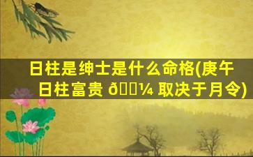 日柱是绅士是什么命格(庚午日柱富贵 🐼 取决于月令)